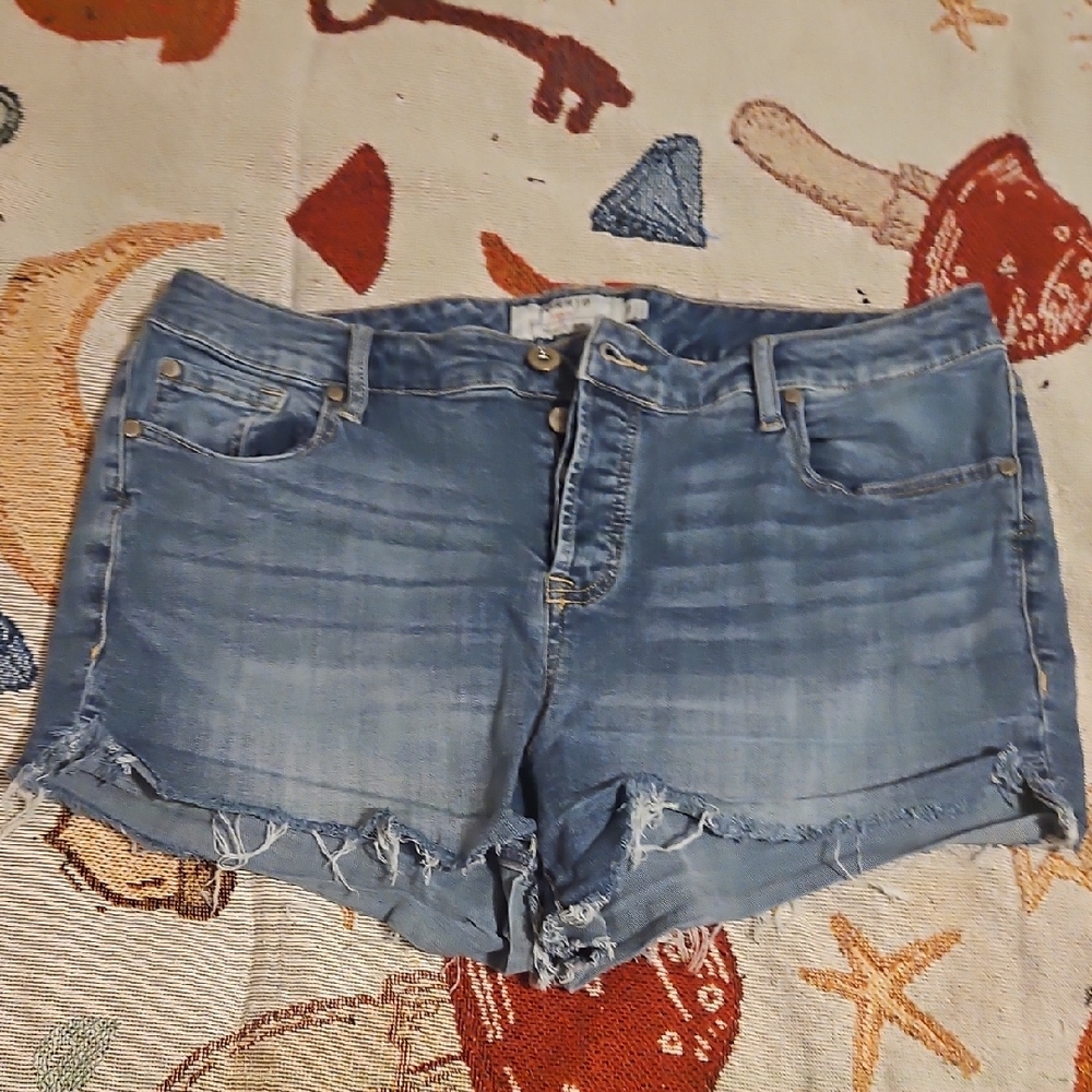Torrid Light Blue Jean Shorts